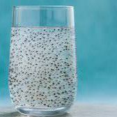 Sabza seeds water