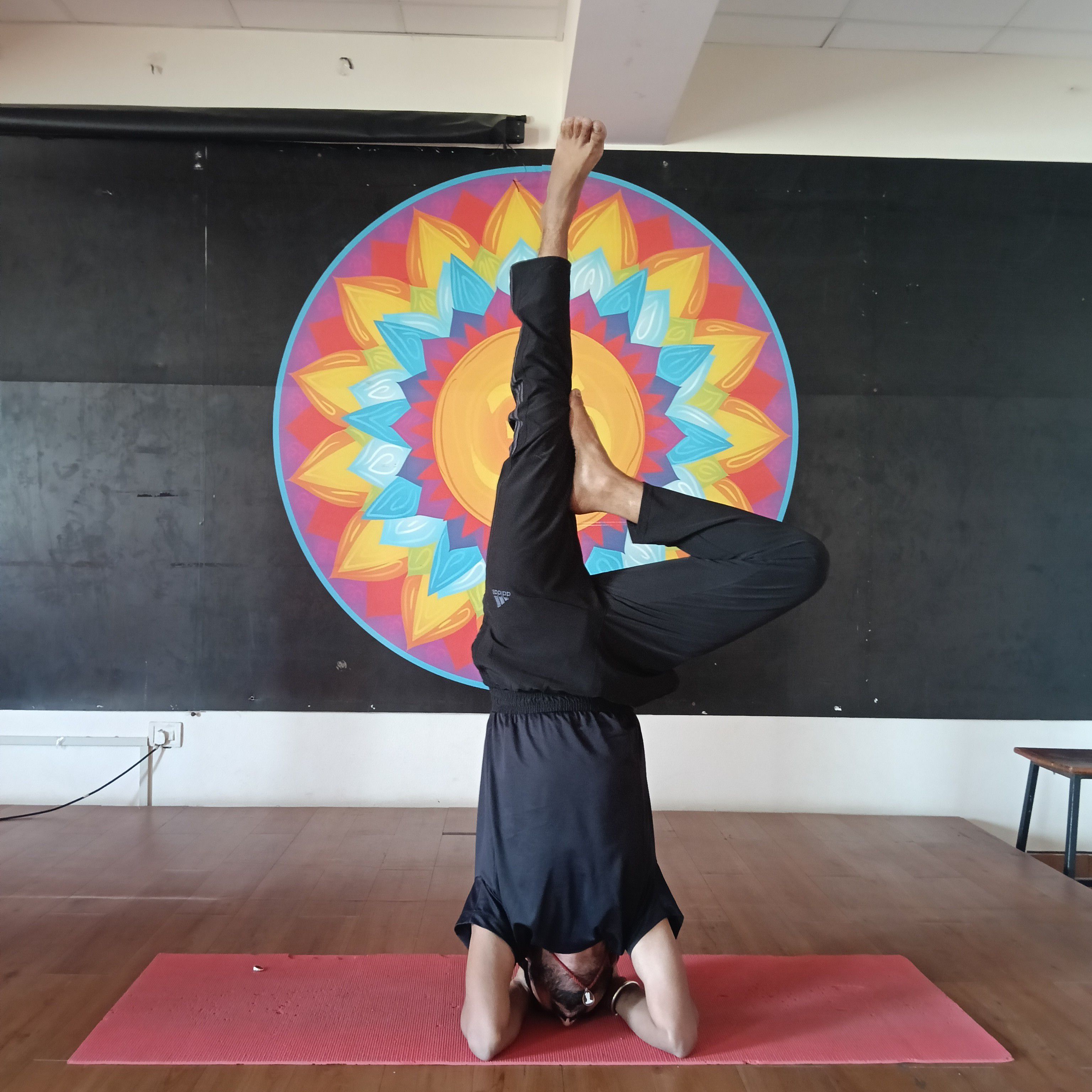 Expertise in Yoga, Sports Conditioning, Weight Management Professional