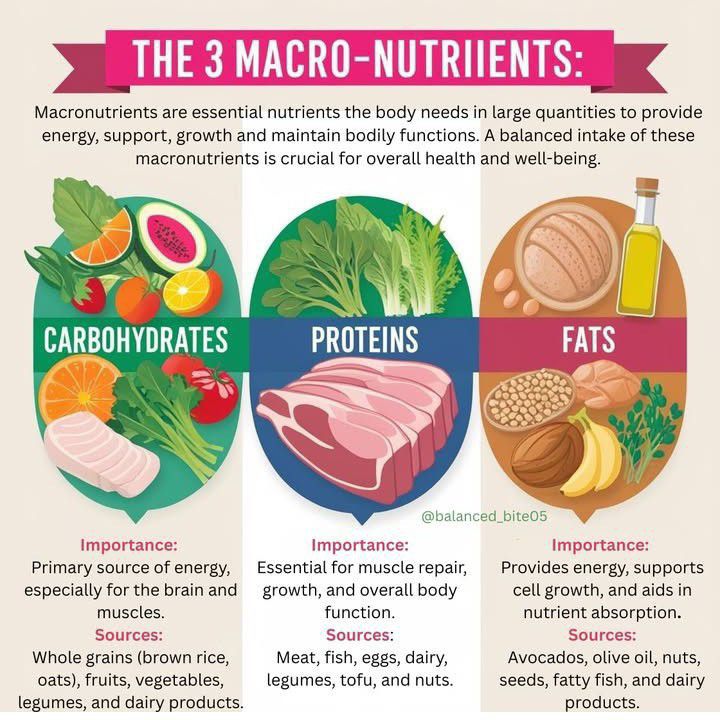 Expertise in Weight Management Professional, Fitness Nutritionist
