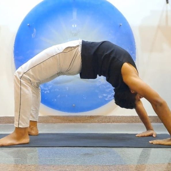 Expertise in Yoga, Weight Management Professional, Orthopedic Exercise