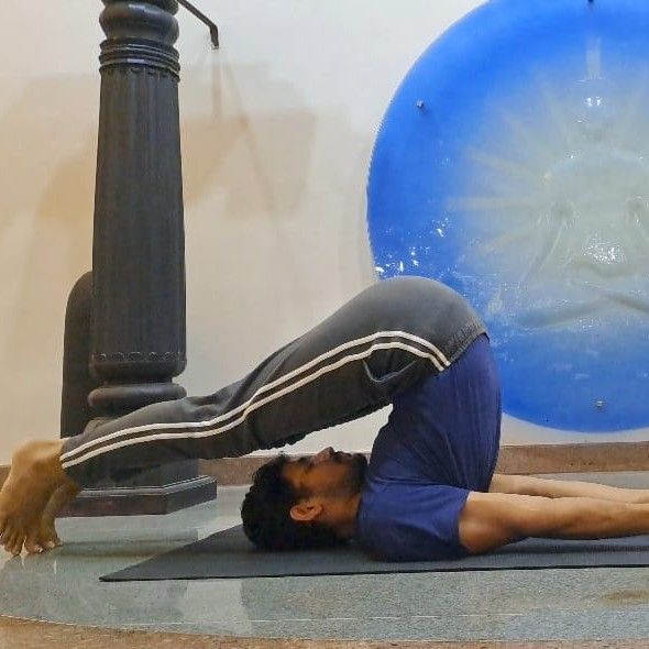 Expertise in Yoga, Weight Management Professional, Orthopedic Exercise