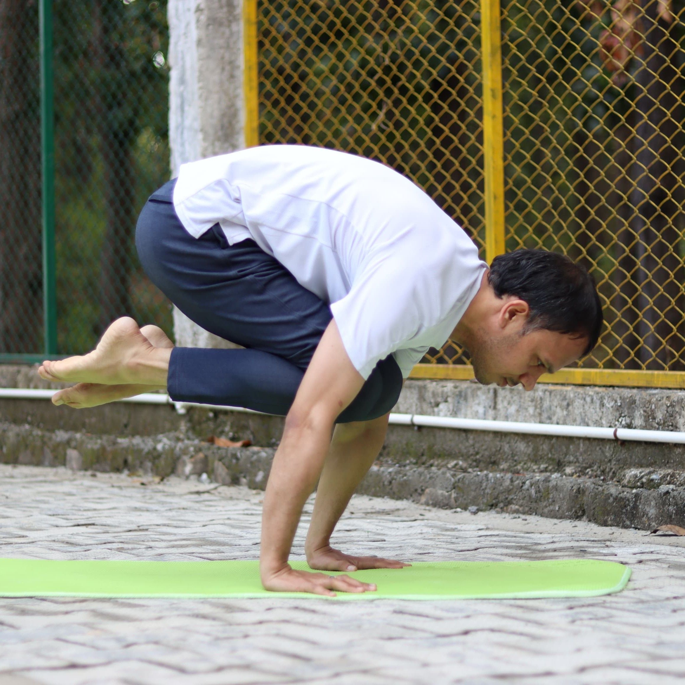 Expertise in Yoga