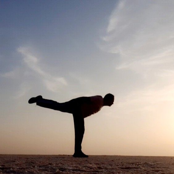 Expertise in Yoga